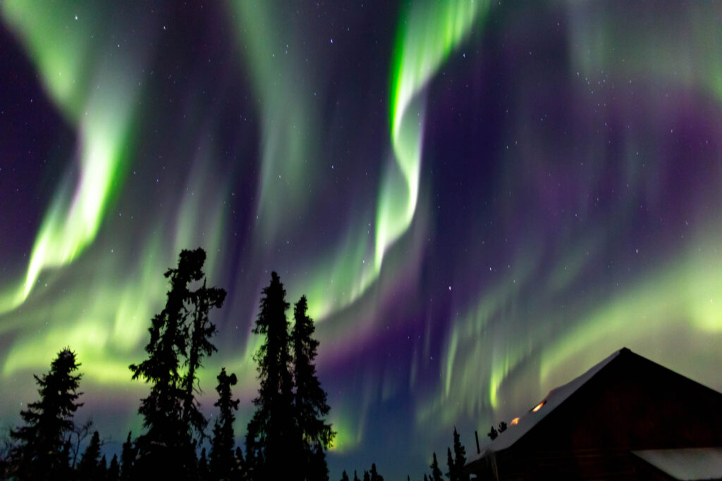 fairbanks northern lights