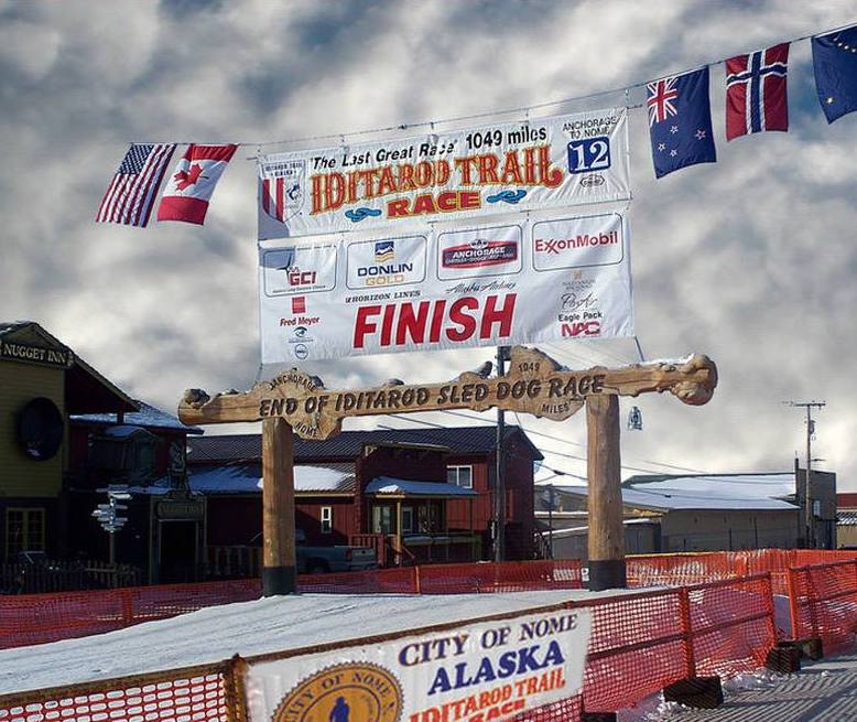 iditarod finish line nome